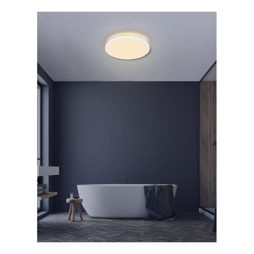 Globo - LED Kopalniška zatemnitvena stropna svetilka LED/24W/230V pr. 42 cm IP44 bela