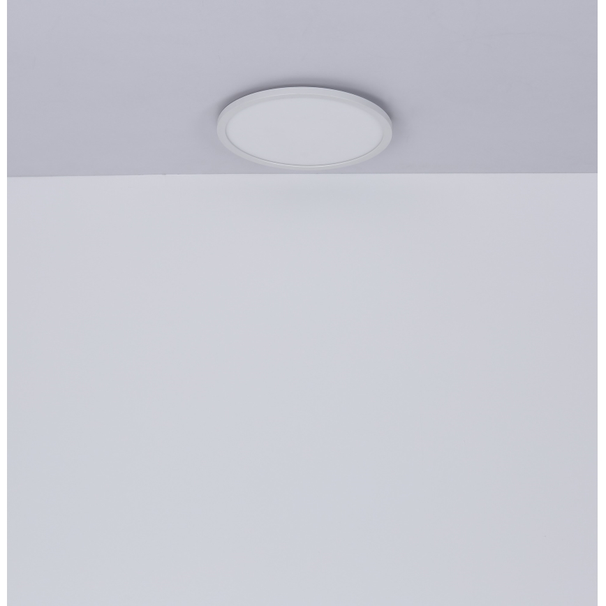 Globo - LED Kopalniška zatemnitvena stropna svetilka LED/24W/230V pr. 42 cm IP44 bela