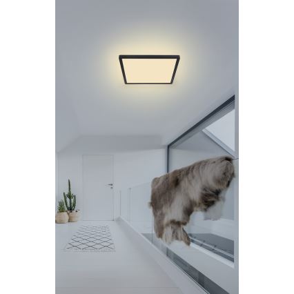 Globo - LED Kopalniška zatemnitvena stropna svetilka LED/18W/230V 29,4x29,4 cm IP44 črna