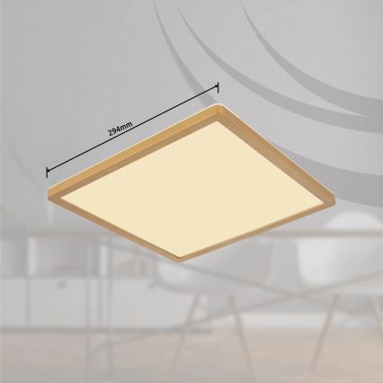 Globo - LED Kopalniška zatemnitvena stropna svetilka LED/18W/230V 3000K IP44 29,4x29,4 cm medenina