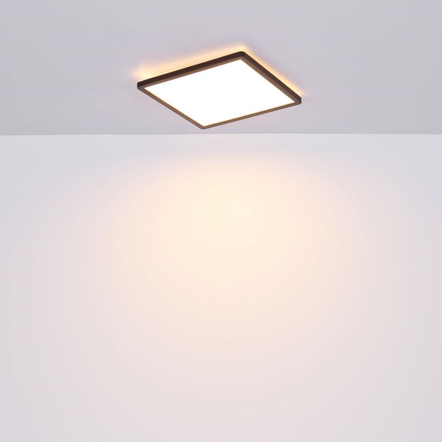 Globo - LED Kopalniška zatemnitvena stropna svetilka LED/24W/230V 42x42 cm IP44 črna