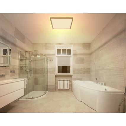 Globo - LED Kopalniška zatemnitvena stropna svetilka LED/24W/230V 3000K IP44 42x42 cm medenina