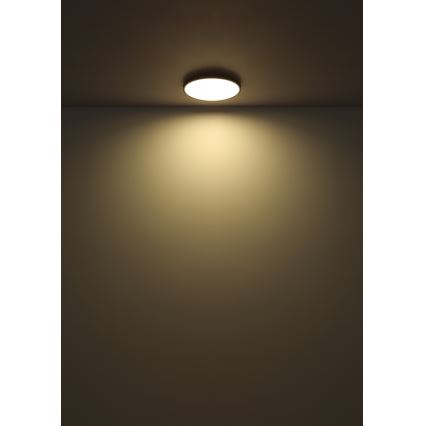 Globo - LED Stropna svetilka LED/15W/230V 4000K pr. 23 cm črna