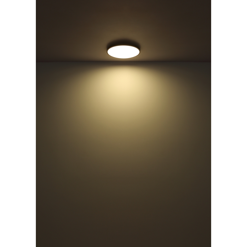 Globo - LED Stropna svetilka LED/15W/230V 4000K pr. 23 cm črna