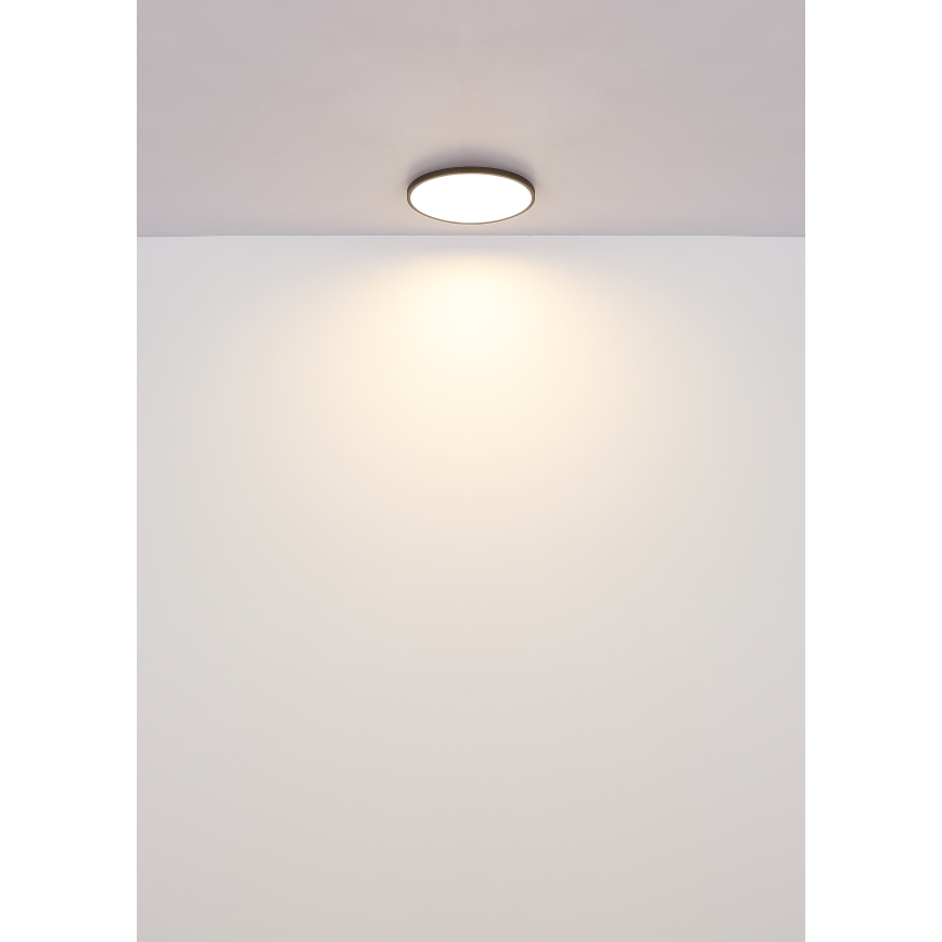 Globo - LED Stropna svetilka LED/15W/230V 4000K pr. 23 cm črna