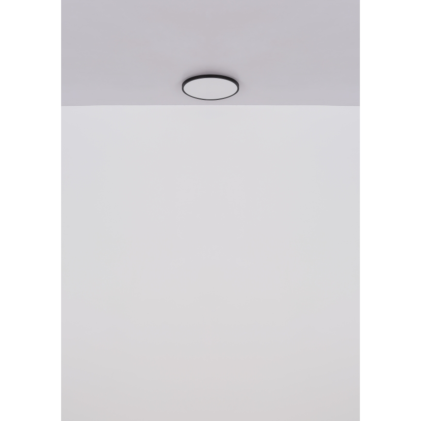Globo - LED Stropna svetilka LED/15W/230V 4000K pr. 23 cm črna