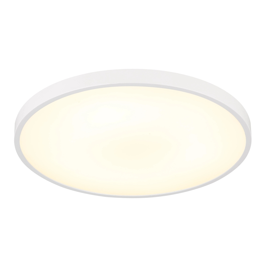 Globo - LED stropna svetilka LED/15W/230V 4000K premer 23 cm bela