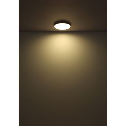 Globo - LED Stropna svetilka LED/32W/230V 4000K pr. 40 cm črna