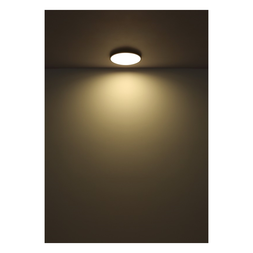 Globo - LED Stropna svetilka LED/32W/230V 4000K pr. 40 cm črna