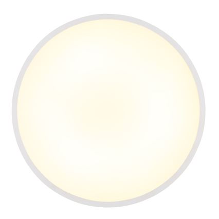 Globo - LED Stropna svetilka LED/32W/230V 4000K pr. 40 cm bela