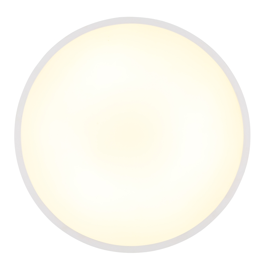 Globo - LED Stropna svetilka LED/32W/230V 4000K pr. 40 cm bela