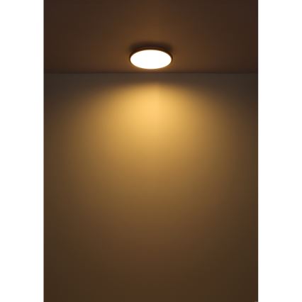 Globo - LED Stropna svetilka LED/18W/230V 3000K pr. 35 cm črna