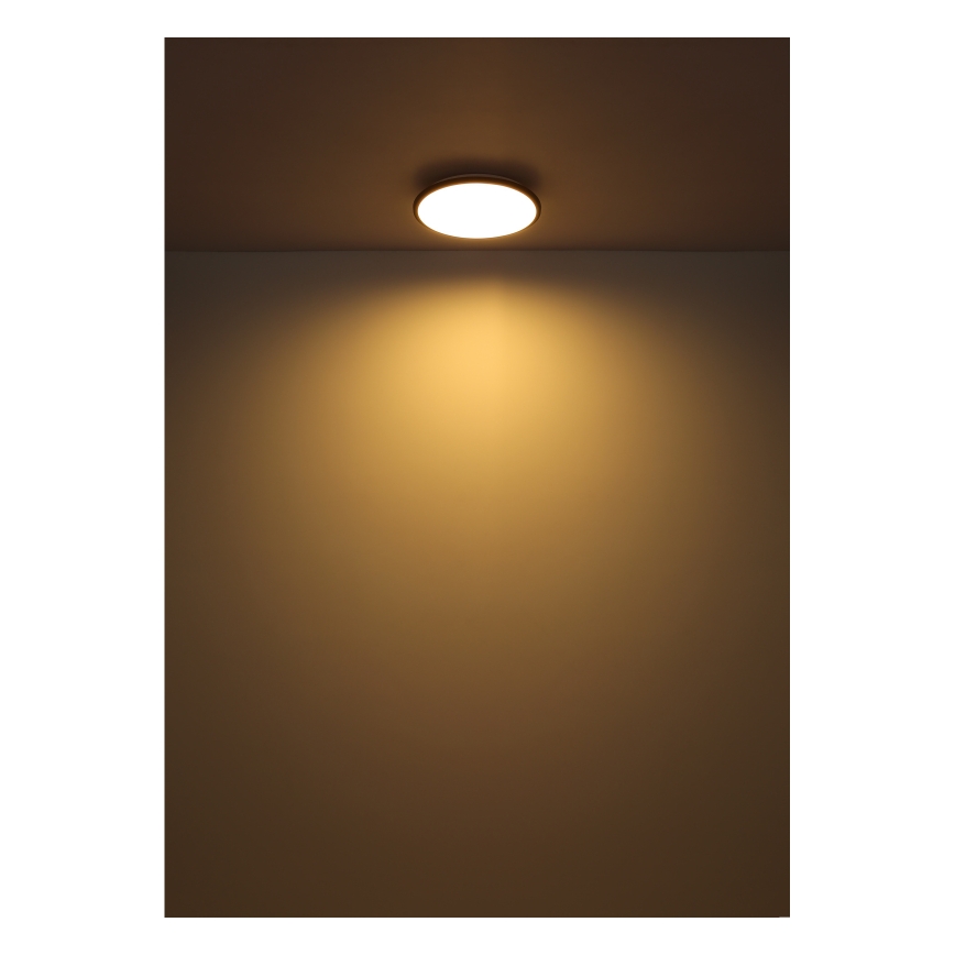 Globo - LED Stropna svetilka LED/18W/230V 3000K pr. 35 cm črna