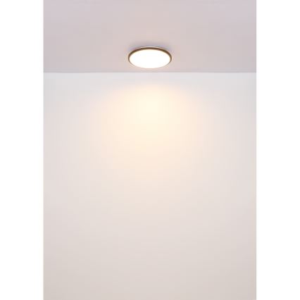 Globo - LED Stropna svetilka LED/18W/230V 3000K pr. 35 cm črna