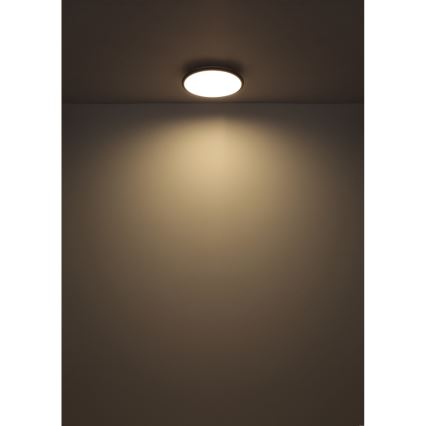 Globo - LED Stropna svetilka LED/18W/230V 4000K pr. 35 cm črna
