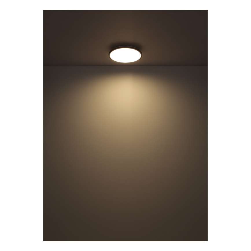 Globo - LED Stropna svetilka LED/18W/230V 4000K pr. 35 cm črna