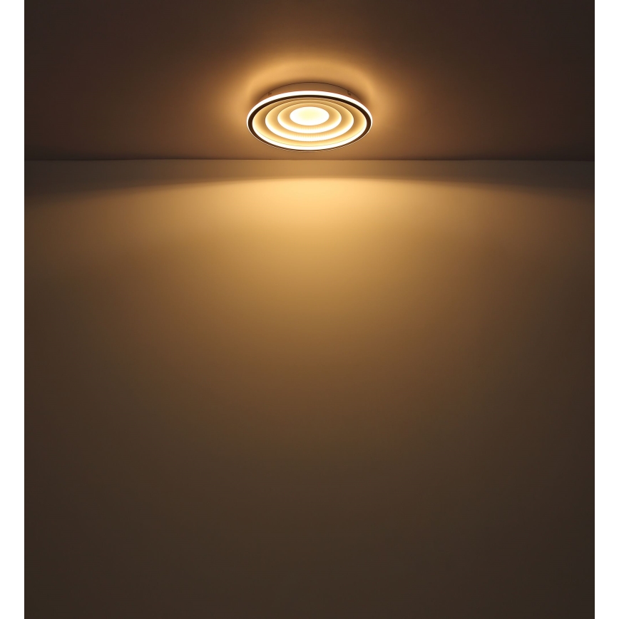 Globo - LED Stropna svetilka LED/24W/230V