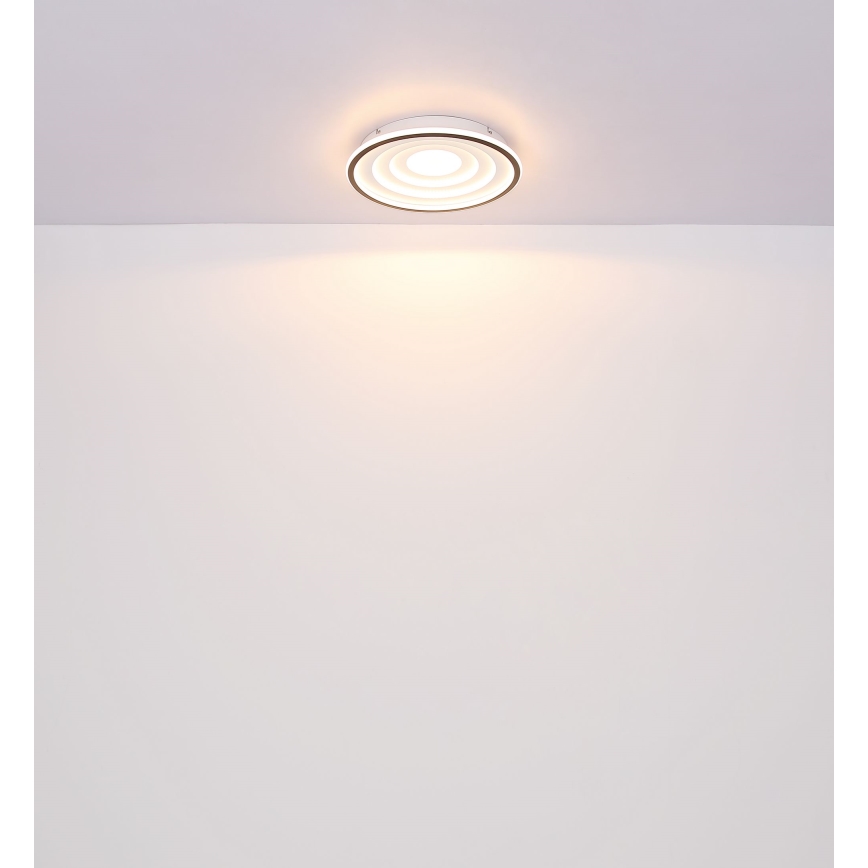 Globo - LED Stropna svetilka LED/24W/230V