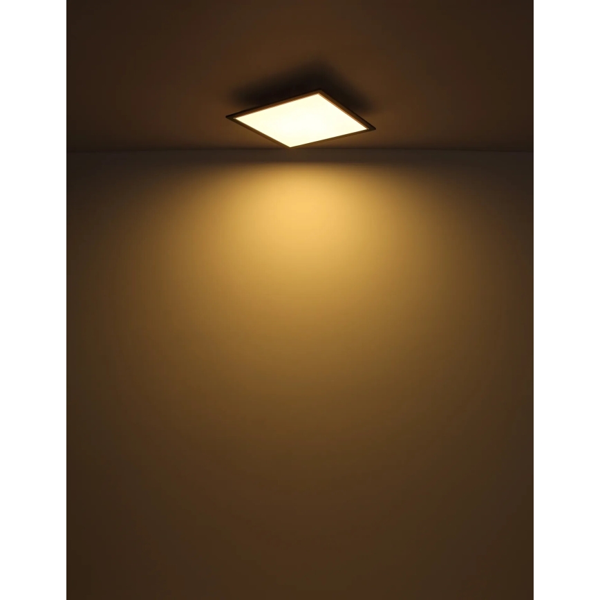 Globo - LED Stropna svetilka LED/24W/230V