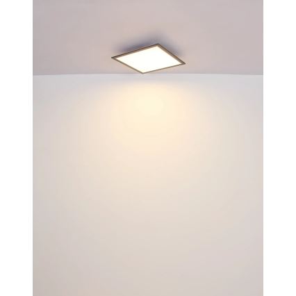 Globo - LED Stropna svetilka LED/24W/230V