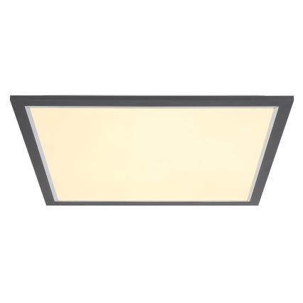 Globo - LED Stropna svetilka LED/24W/230V