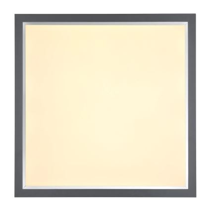 Globo - LED Stropna svetilka LED/24W/230V