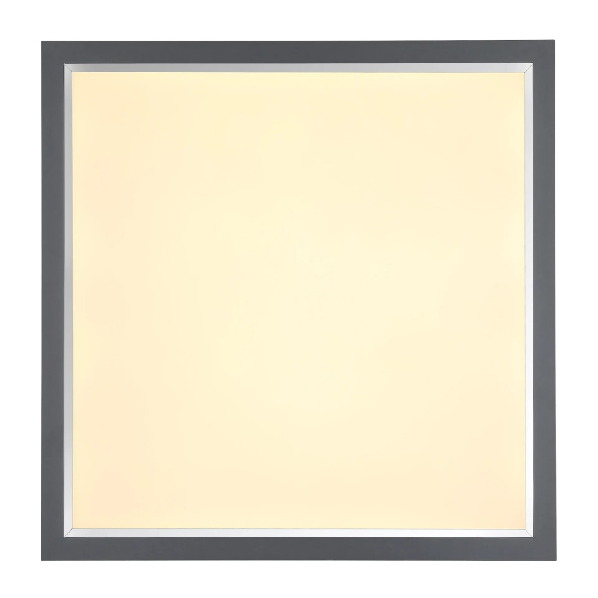 Globo - LED Stropna svetilka LED/24W/230V