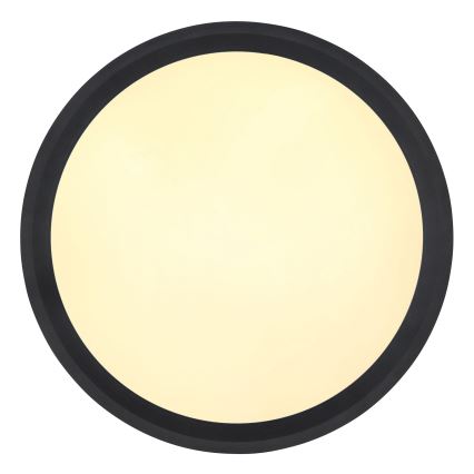 Globo - LED Stropna svetilka LED/30W/230V pr. 30 cm