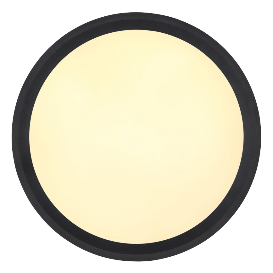 Globo - LED Stropna svetilka LED/30W/230V pr. 30 cm