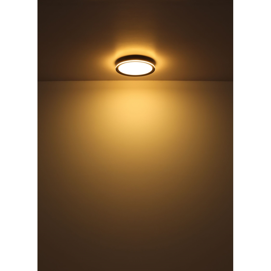 Globo - LED Stropna svetilka LED/58W/230V pr. 50 cm