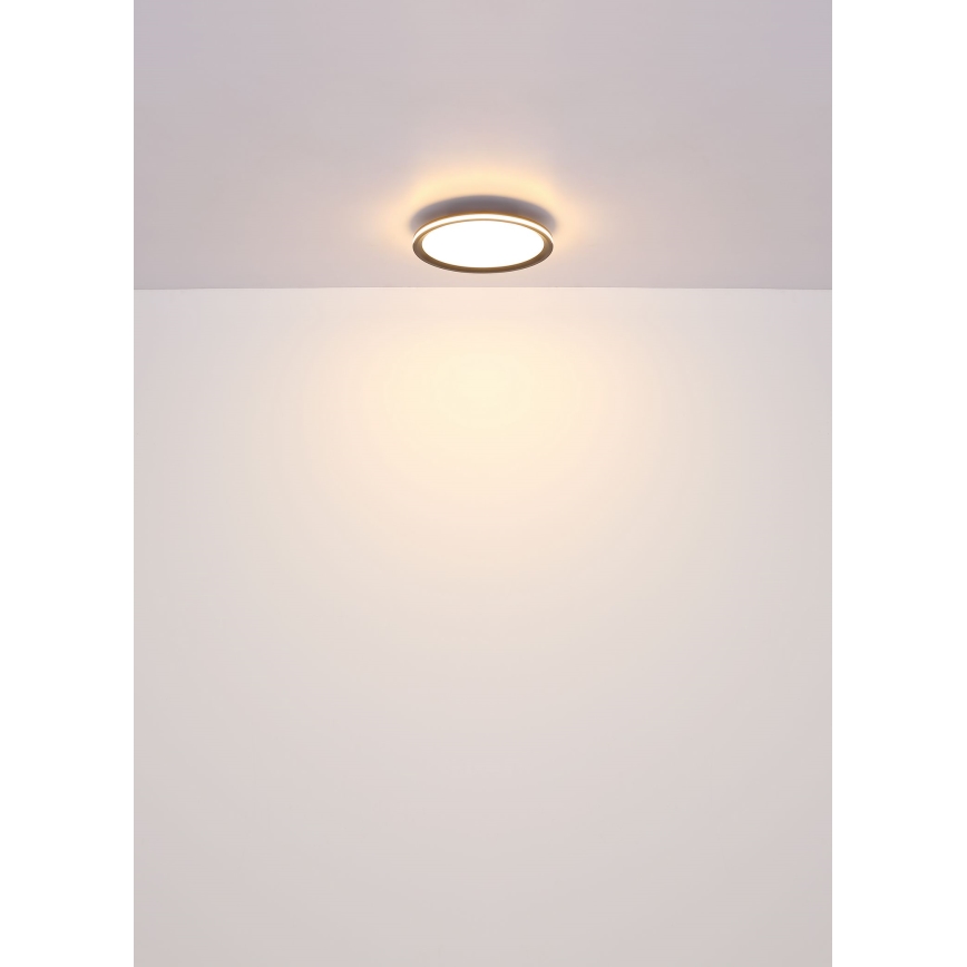Globo - LED Stropna svetilka LED/58W/230V pr. 50 cm