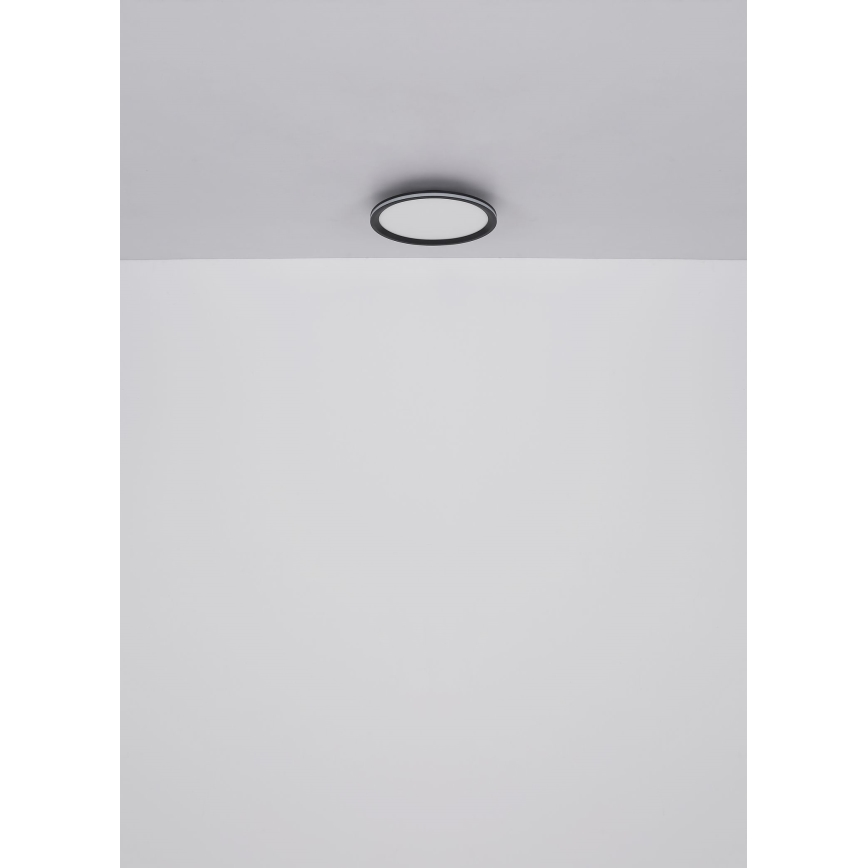 Globo - LED Stropna svetilka LED/58W/230V pr. 50 cm