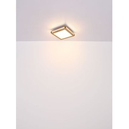 Globo - LED Stropna svetilka LED/12W/230V 30x30 cm