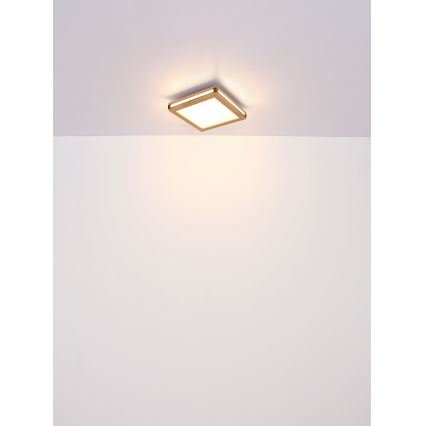 Globo - LED Stropna svetilka LED/12W/230V 30x30 cm