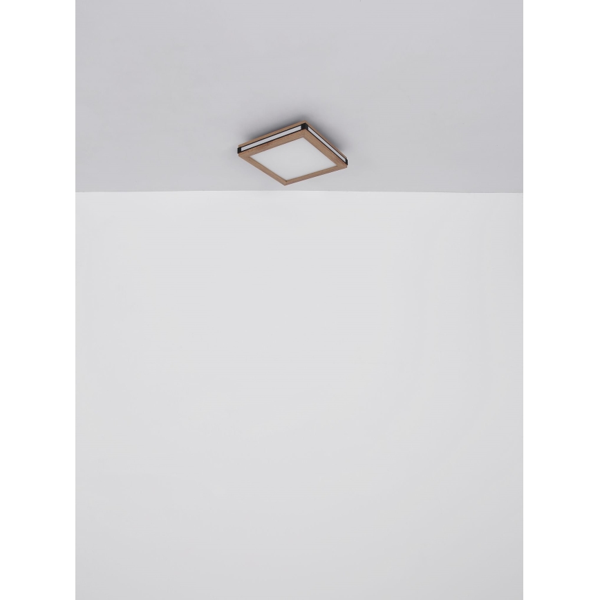 Globo - LED Stropna svetilka LED/12W/230V 30x30 cm