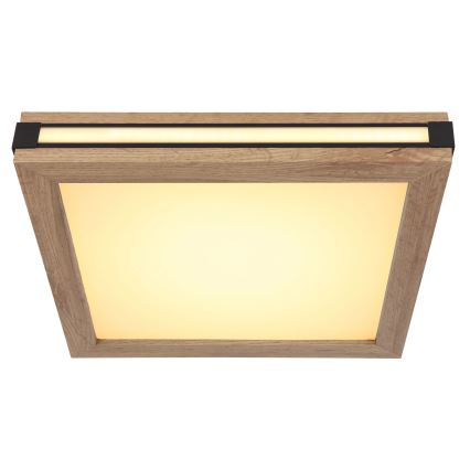 Globo - LED Stropna svetilka LED/12W/230V 30x30 cm