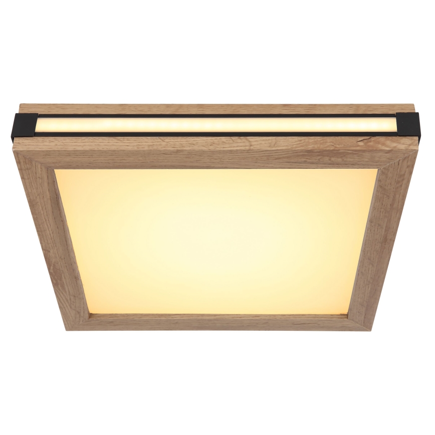 Globo - LED Stropna svetilka LED/12W/230V 30x30 cm