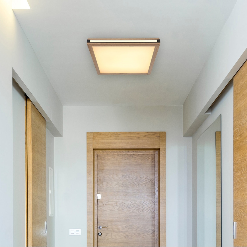 Globo - LED Stropna svetilka LED/24W/230V 45x45 cm
