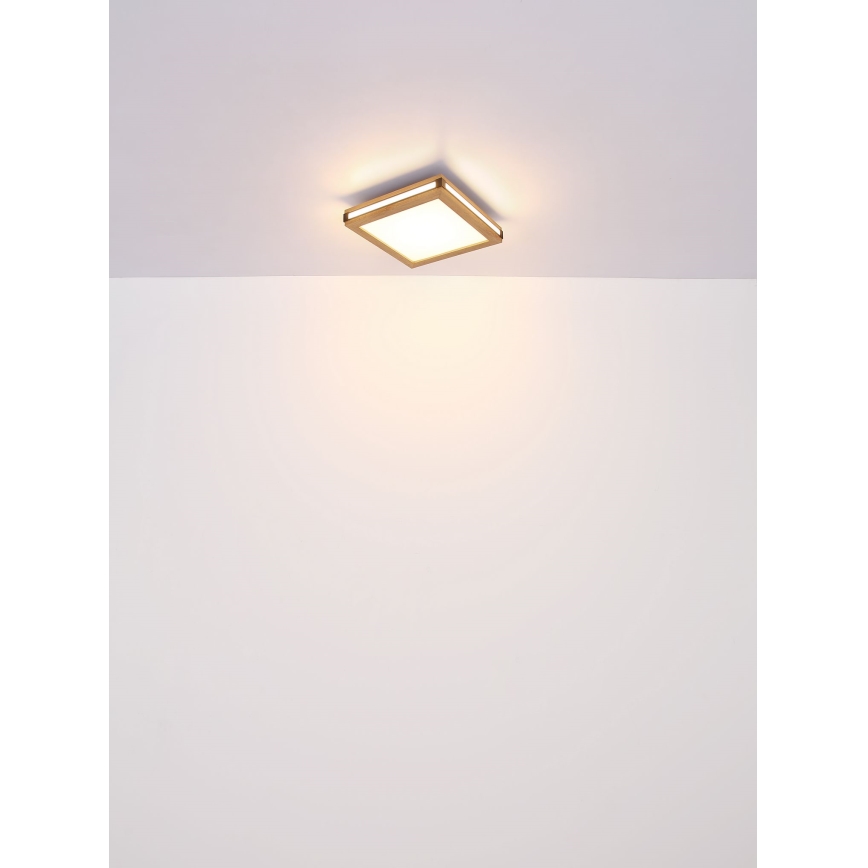 Globo - LED Stropna svetilka LED/24W/230V 45x45 cm