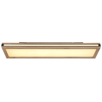 Globo - LED Stropna svetilka LED/24W/230V 20x80 cm