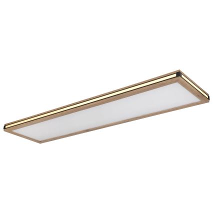 Globo - LED Zatemnitvena stropna svetilka LED/36W/230V 3000K 30x120 cm