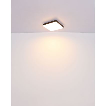 Globo - LED Stropna svetilka LED/18W/230V 30x30 cm črna