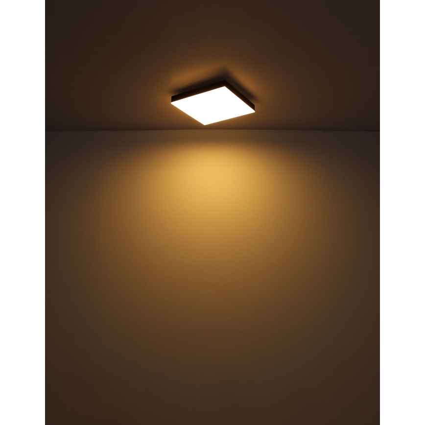 Globo - LED Zatemnitvena stropna svetilka LED/24W/230V 2700-6500K črna + Daljinski upravljalnik