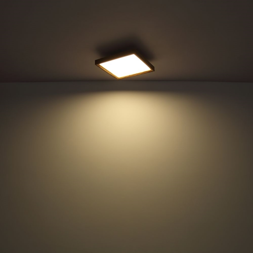 Globo - LED Stropna svetilka LED/24W/230V 45cm 2700/4500/6500K