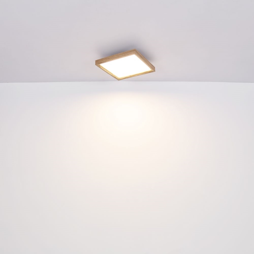 Globo - LED Stropna svetilka LED/24W/230V 45cm 2700/4500/6500K