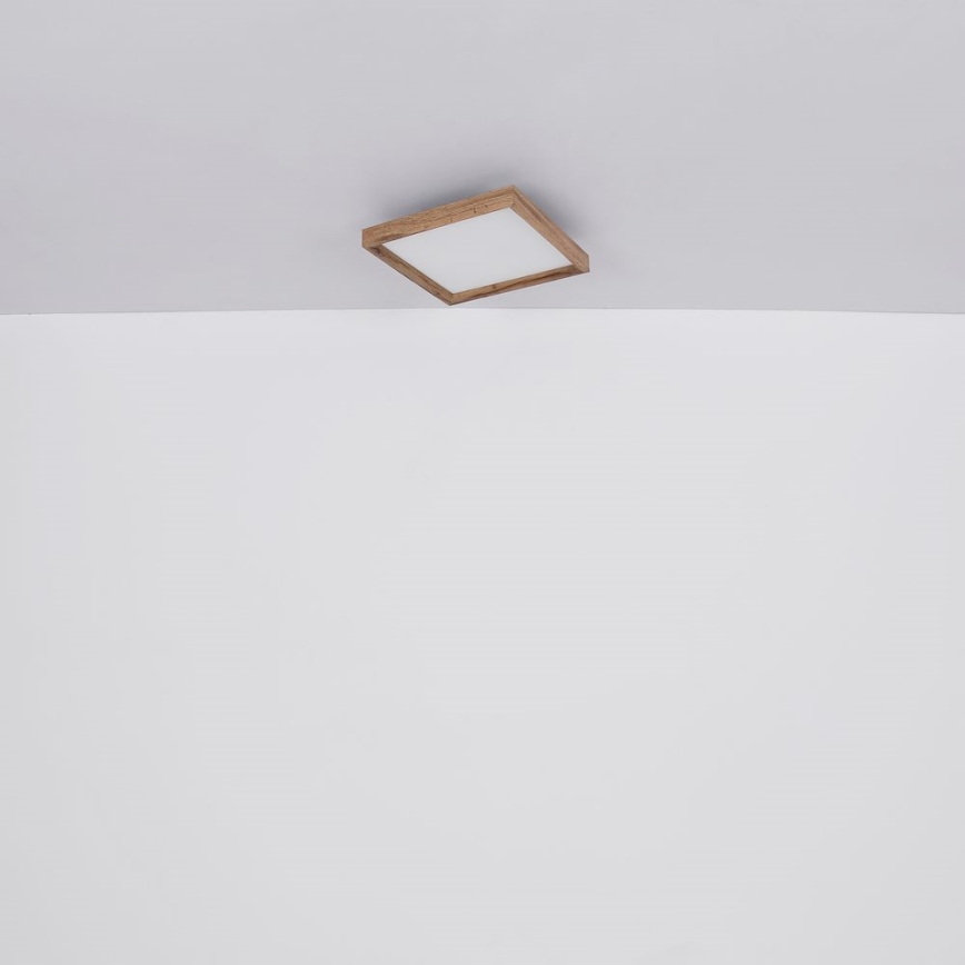 Globo - LED Stropna svetilka LED/24W/230V 45cm 2700/4500/6500K