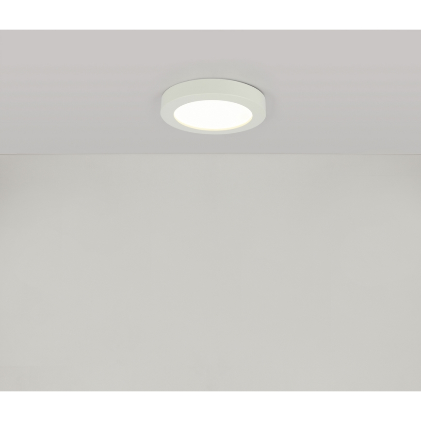 GLOBO 41605-18 - LED Kopalniška stropna svetilka PAULA 1xLED/18W/230V IP44