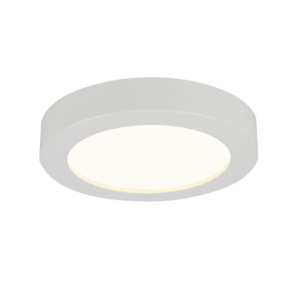 Globo - LED Kopalniško stropno svetilo LED/18W/230V IP44