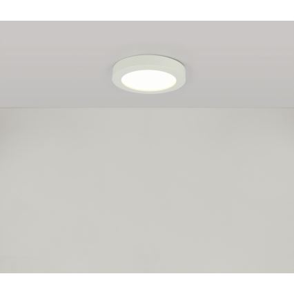 Globo - LED Kopalniško stropno svetilo LED/18W/230V IP44