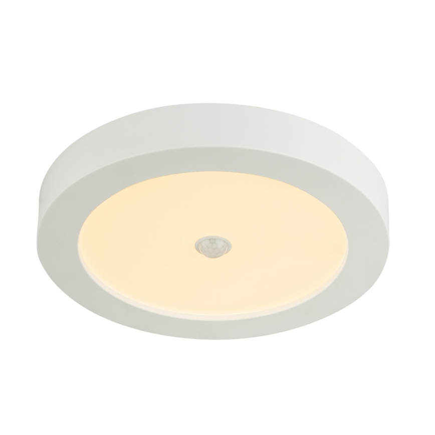 GLOBO 41605-18S - LED Zunanja stropna svetilka s senzorjem PAULA 1xLED/18W/230V